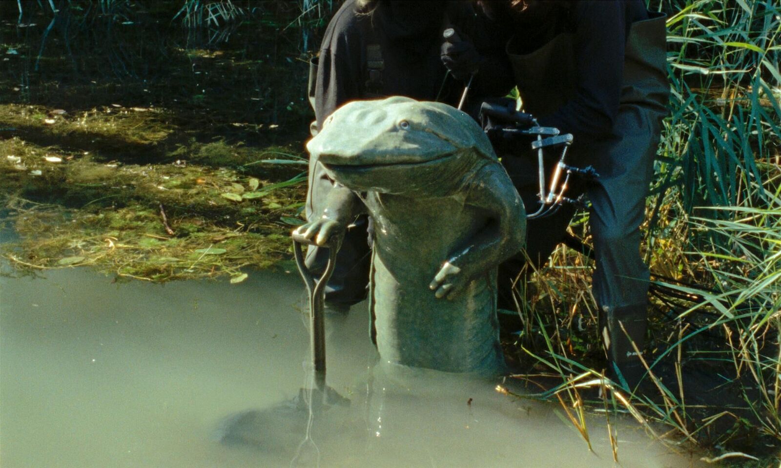 Gallery image of the project The Newt Congress