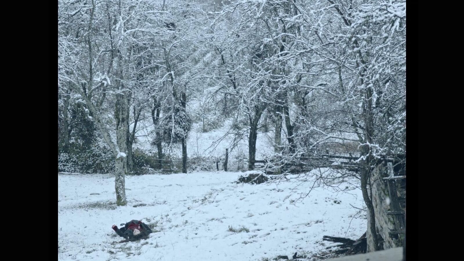 Gallery image of the project On the other side of the pillow a rose was blossoming