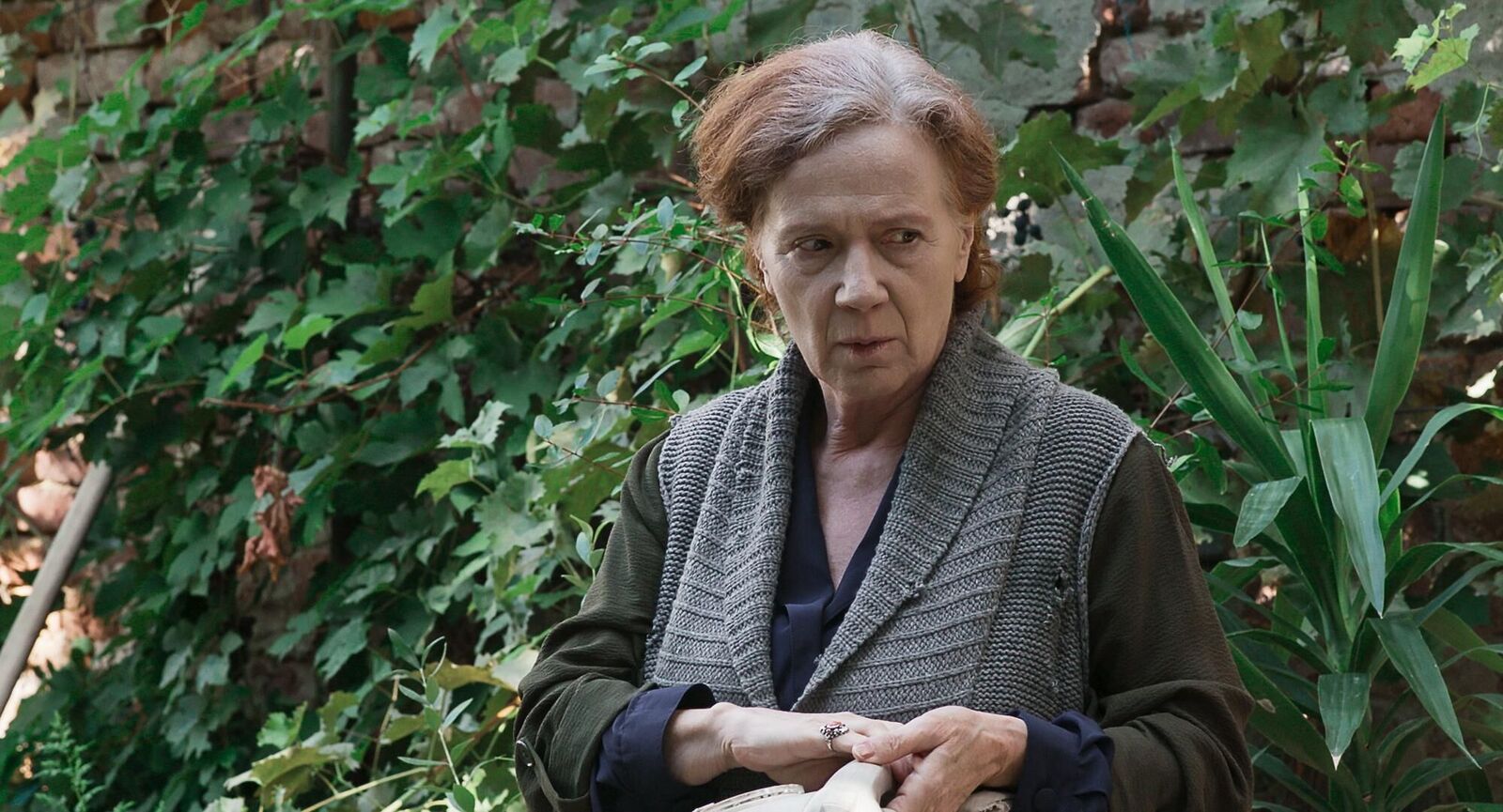 Gallery image of the project Francis' Visit 