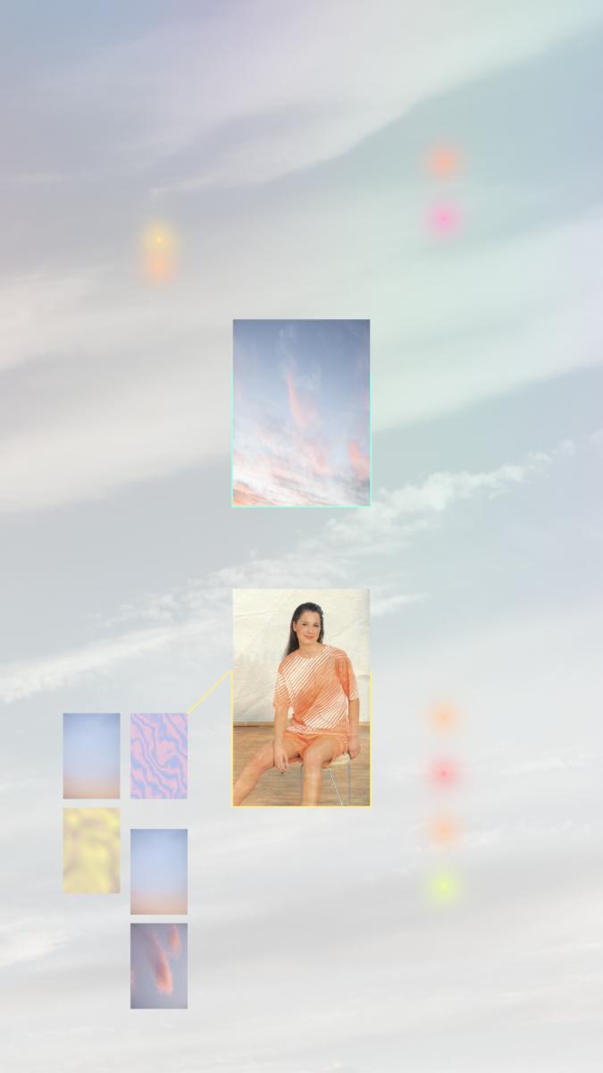 Gallery image of the project Polarflux