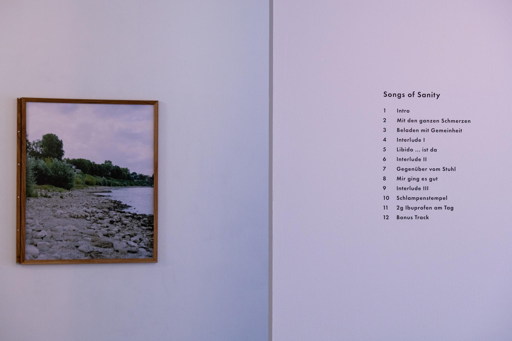 Songs of Sanity Gallery image of the project Songs of Sanity