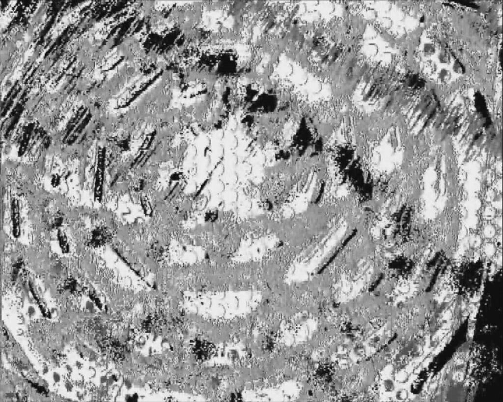 Gallery image of the project rippled