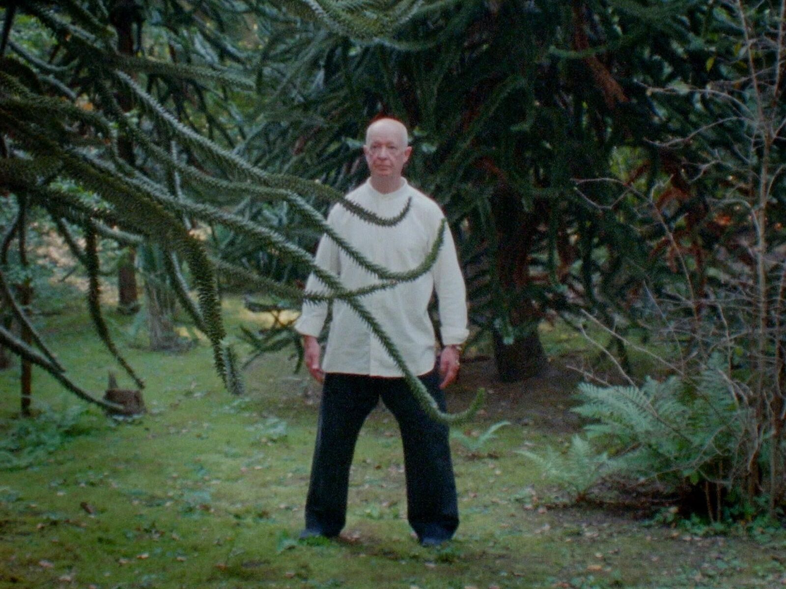 Gallery image of the project Herz - Golf