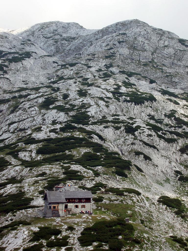 Cover image of the project Sophie