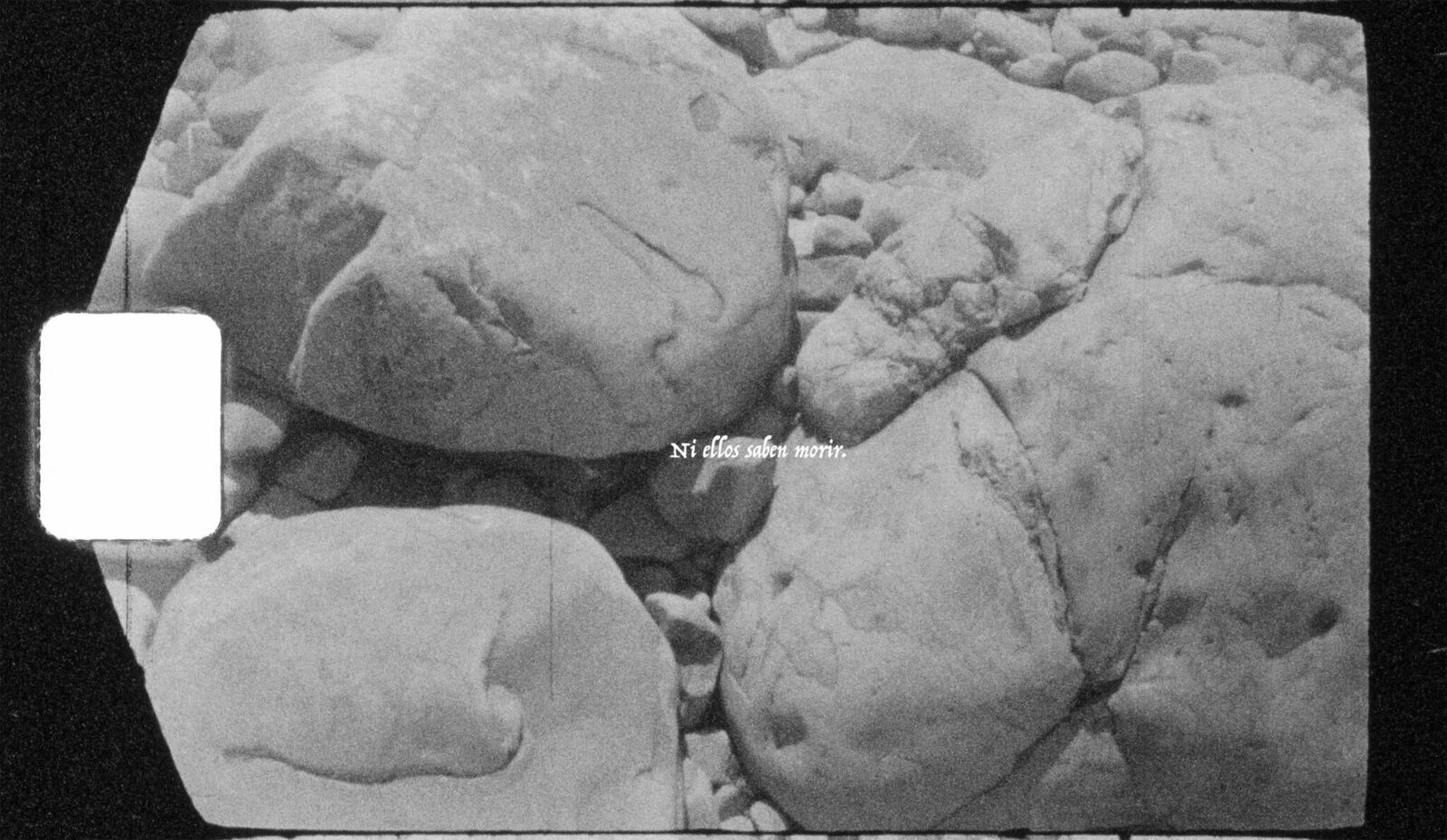 Gallery image of the project El mismo sol, otra luz