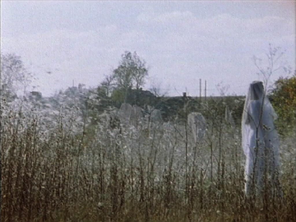 Cover image of the project Tschernobyl Herbst