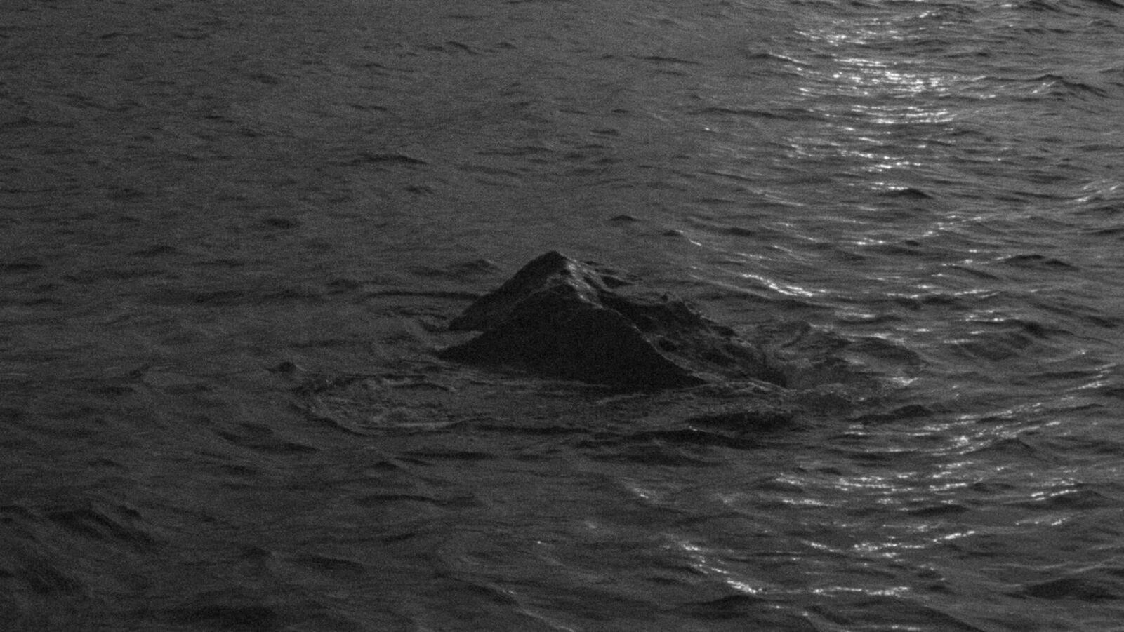 Gallery image of the project In die Sonne blicken