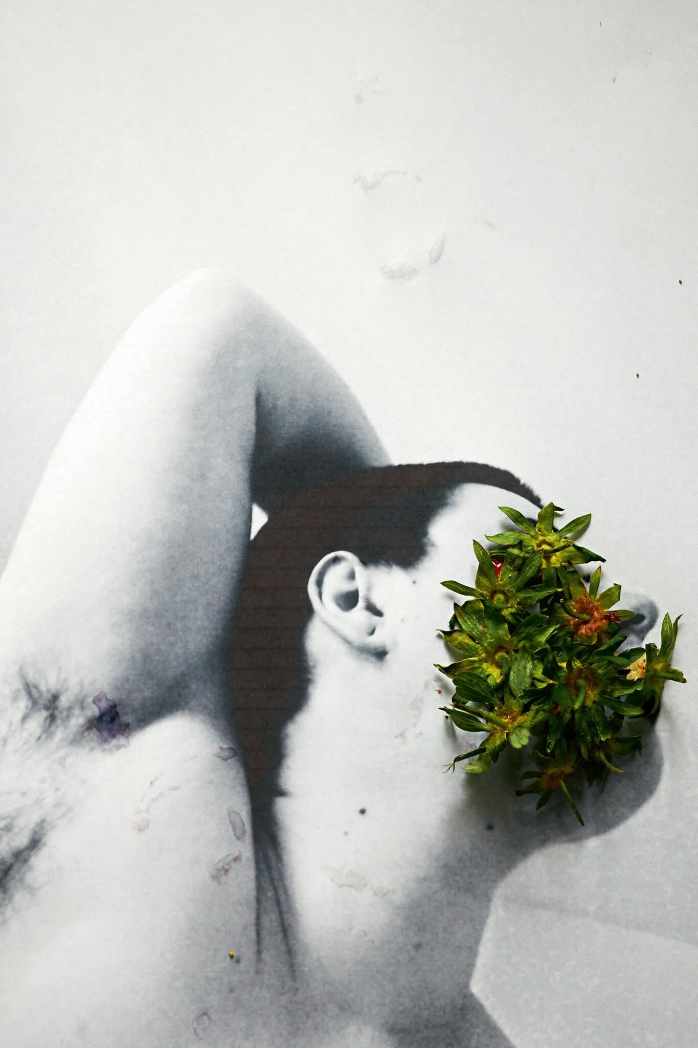 Gallery image of the project Innenleben