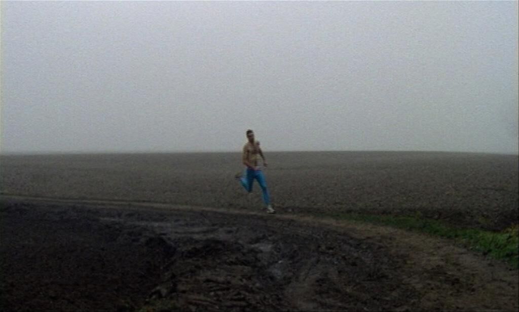 Cover image of the project d.H.f. (die Hure fällt)