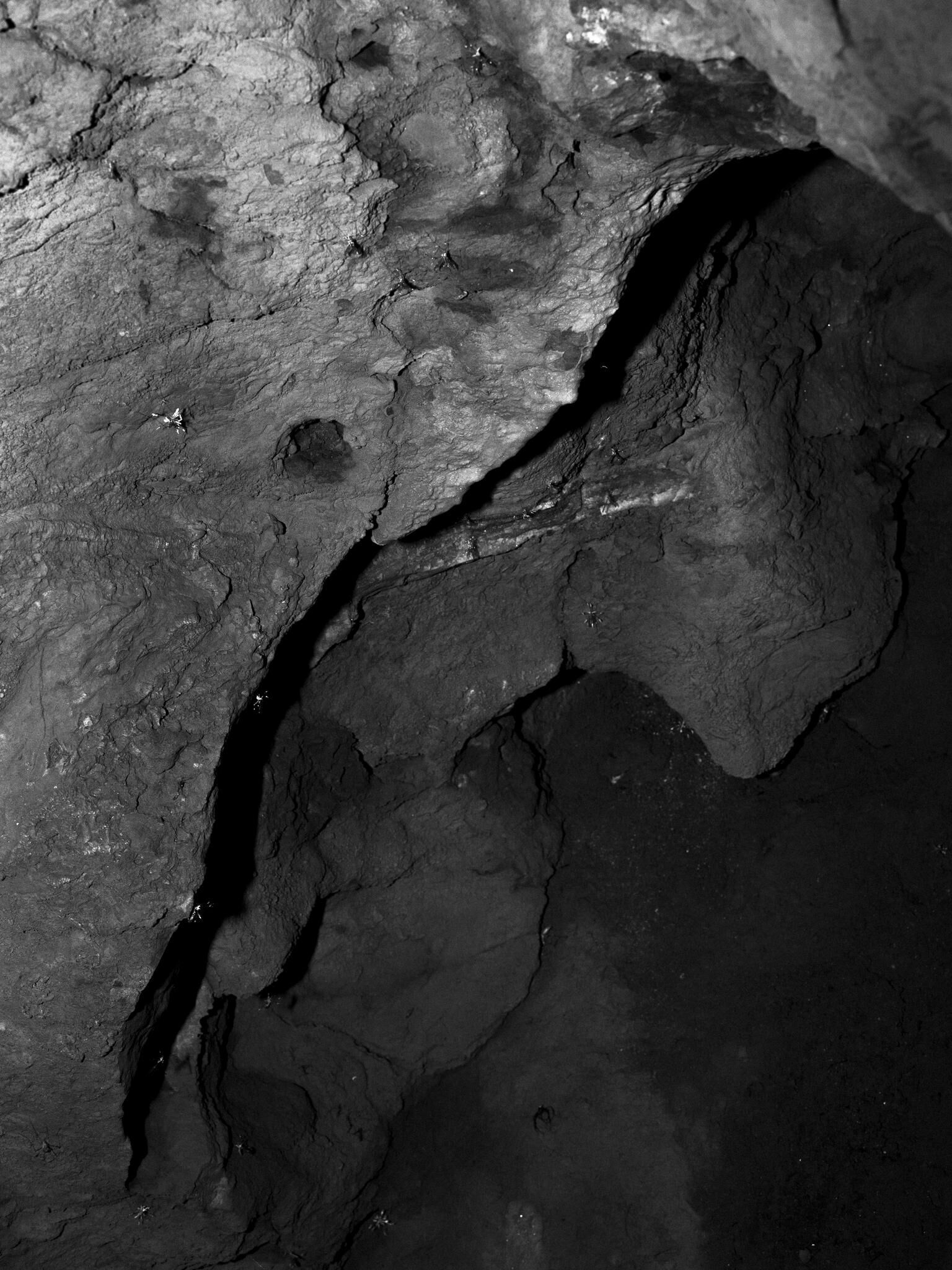 Gallery image of the project Given enough eyeballs, all bugs are shallow