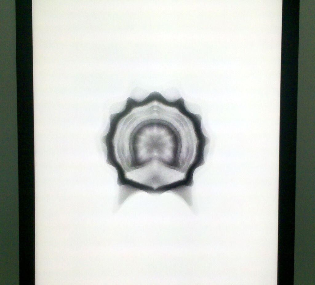Gallery image of the project Symmetrical Essence (of a Point Cloud)
