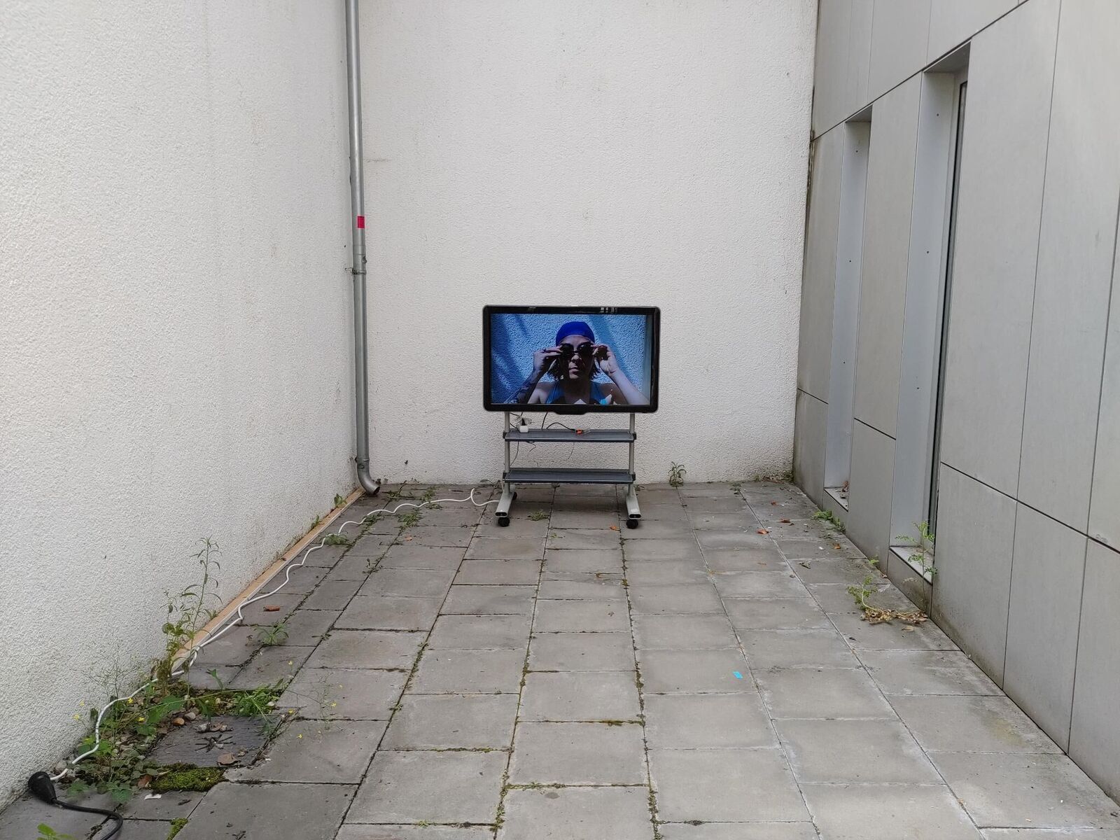 Cover image of the project Swim Team Practice