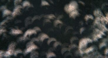 Umber