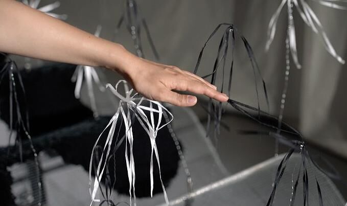 Gallery image of the project Permanent planting