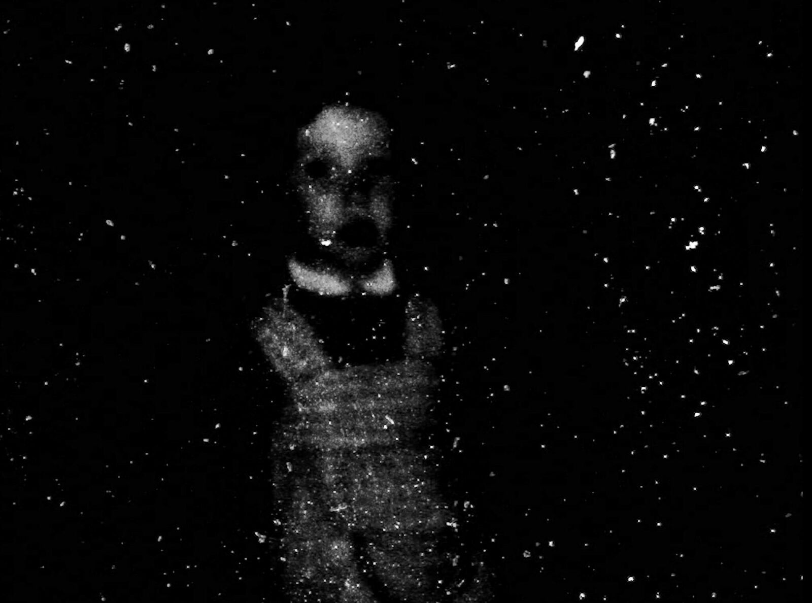 Cover image of the project ghosting mother 