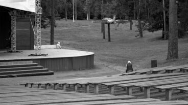 Cover image of the project Our Feelings of Flight