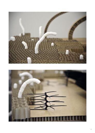 FALSE SPRING Gallery image of the project FALSE SPRING
