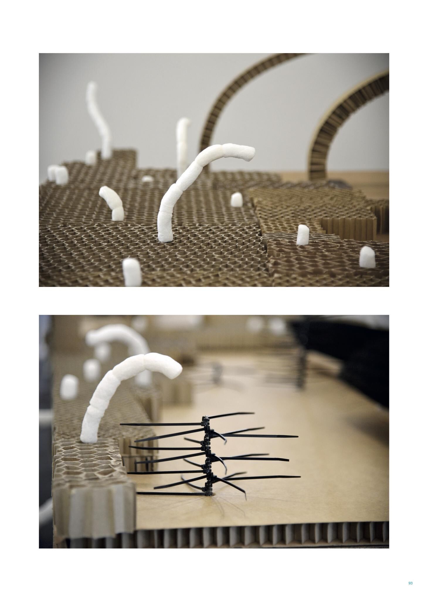 Gallery image of the project FALSE SPRING