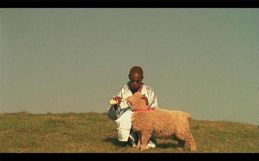 Gallery image of the project PARADISE 3000 