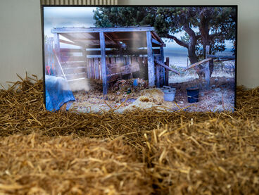 Lea Dinger, New Compost Here