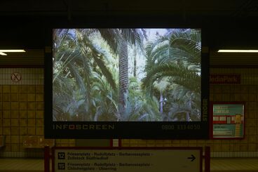 „Palmeral” von Sara Hoffmann Gallery image of the project Public Space Video