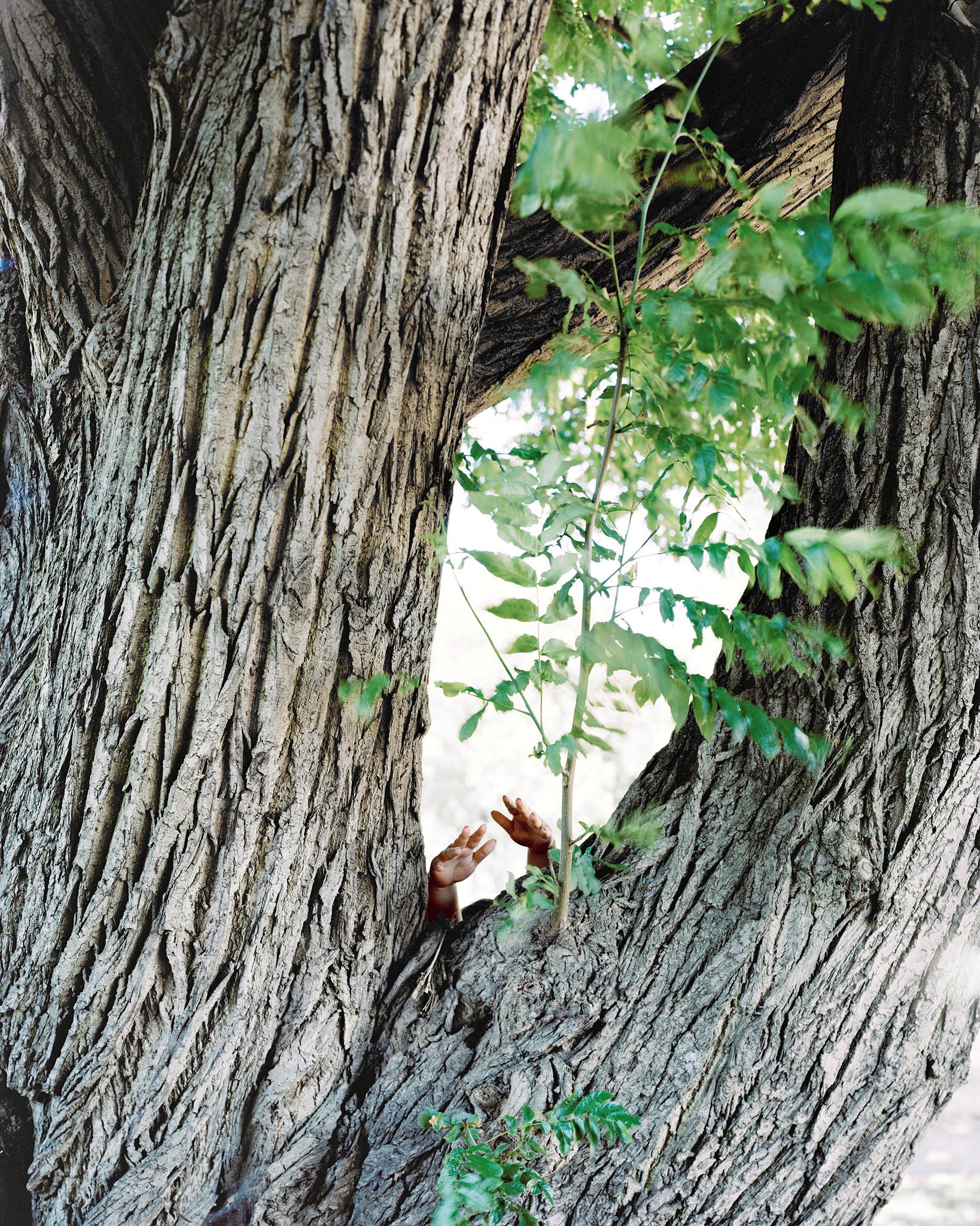 Gallery image of the project Songs of Sanity