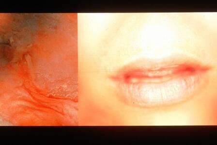 © Tilman Lothspeich