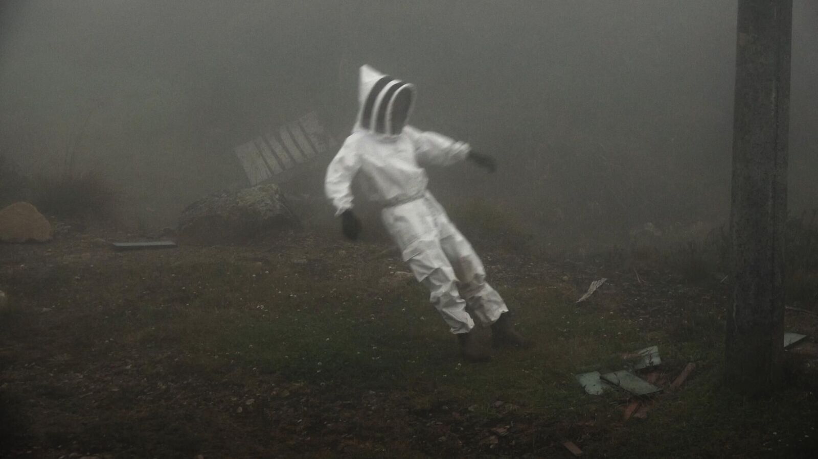 Gallery image of the project Solaris 