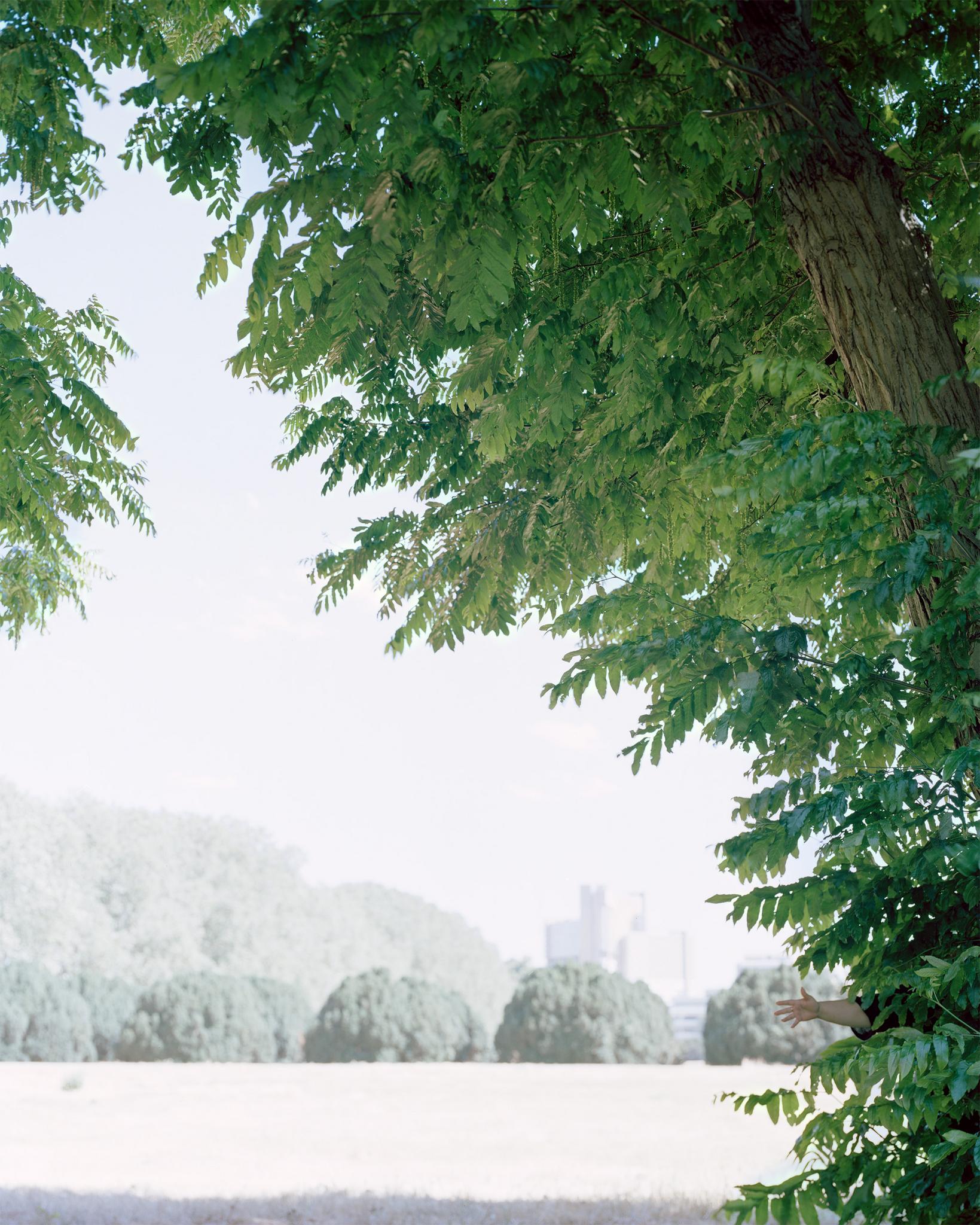 Gallery image of the project Songs of Sanity