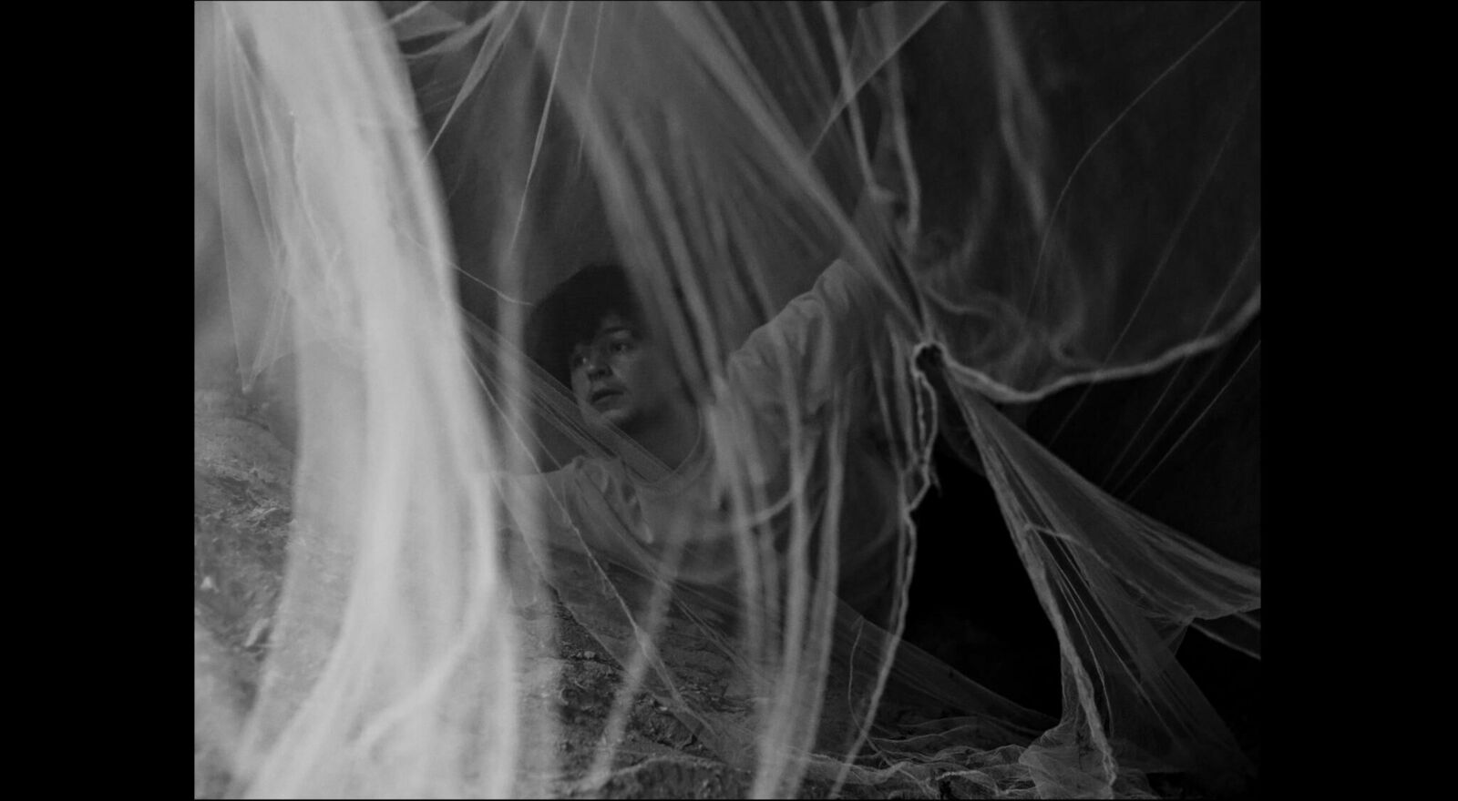 Cover image of the project Movie Machine