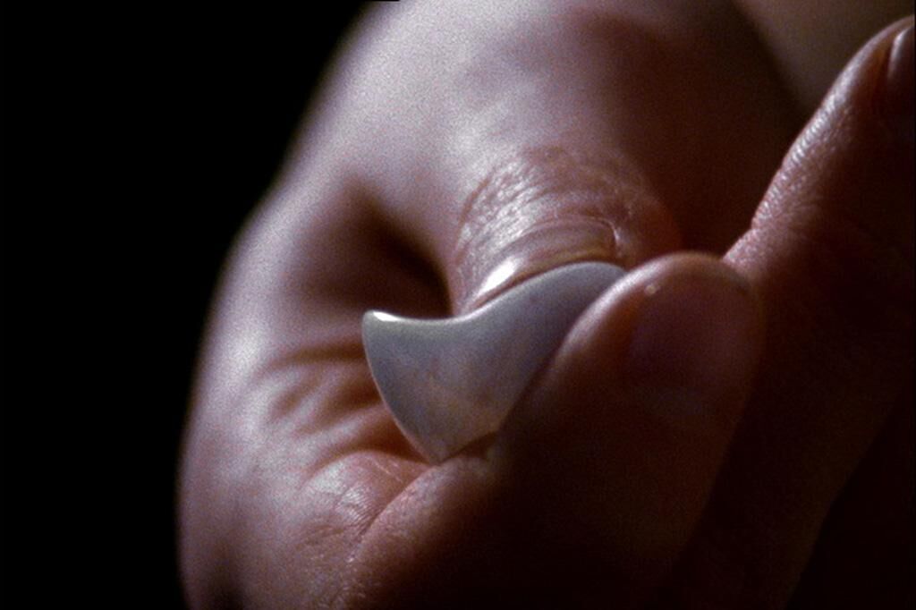 Cover image of the project Anophtalmus