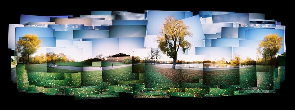 Cover image of the project Contemporama