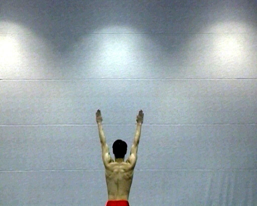 Cover image of the project Across the Universe