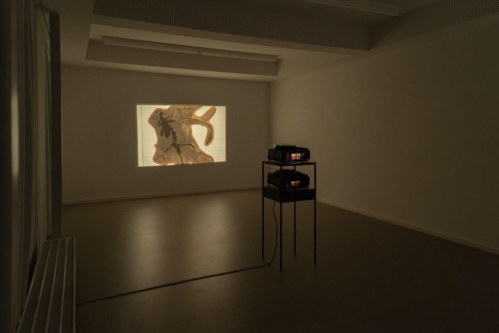 Cover image of the project Swamp optical trance