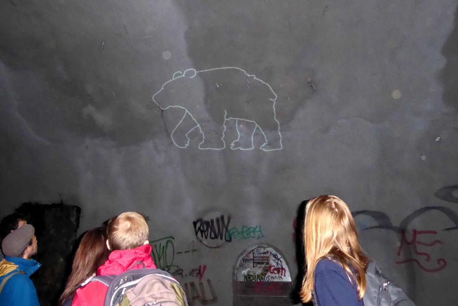 Cover image of the project Parietalis