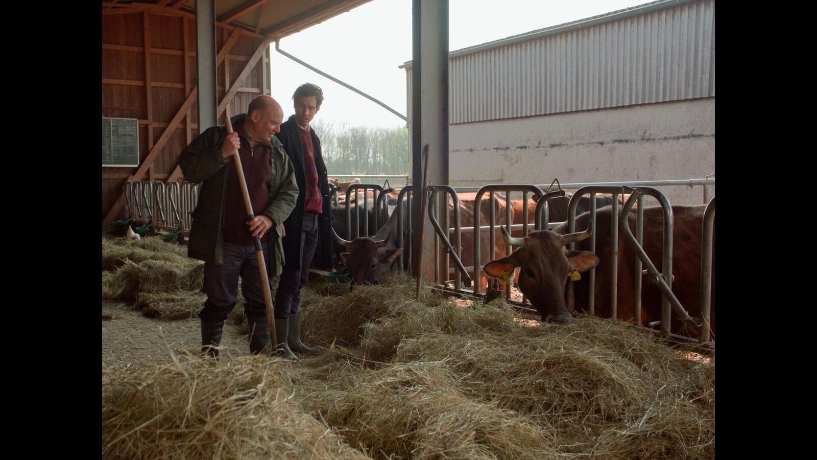 Gallery image of the project Wahn ist eine blinde Kuh