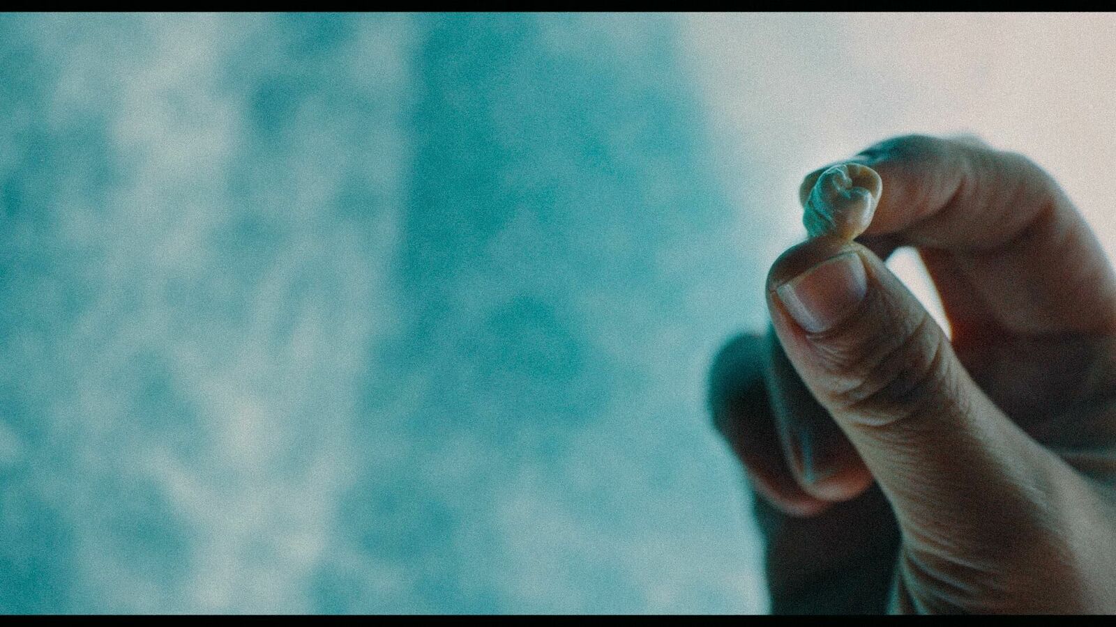 Cover image of the project Red Wall Fiction