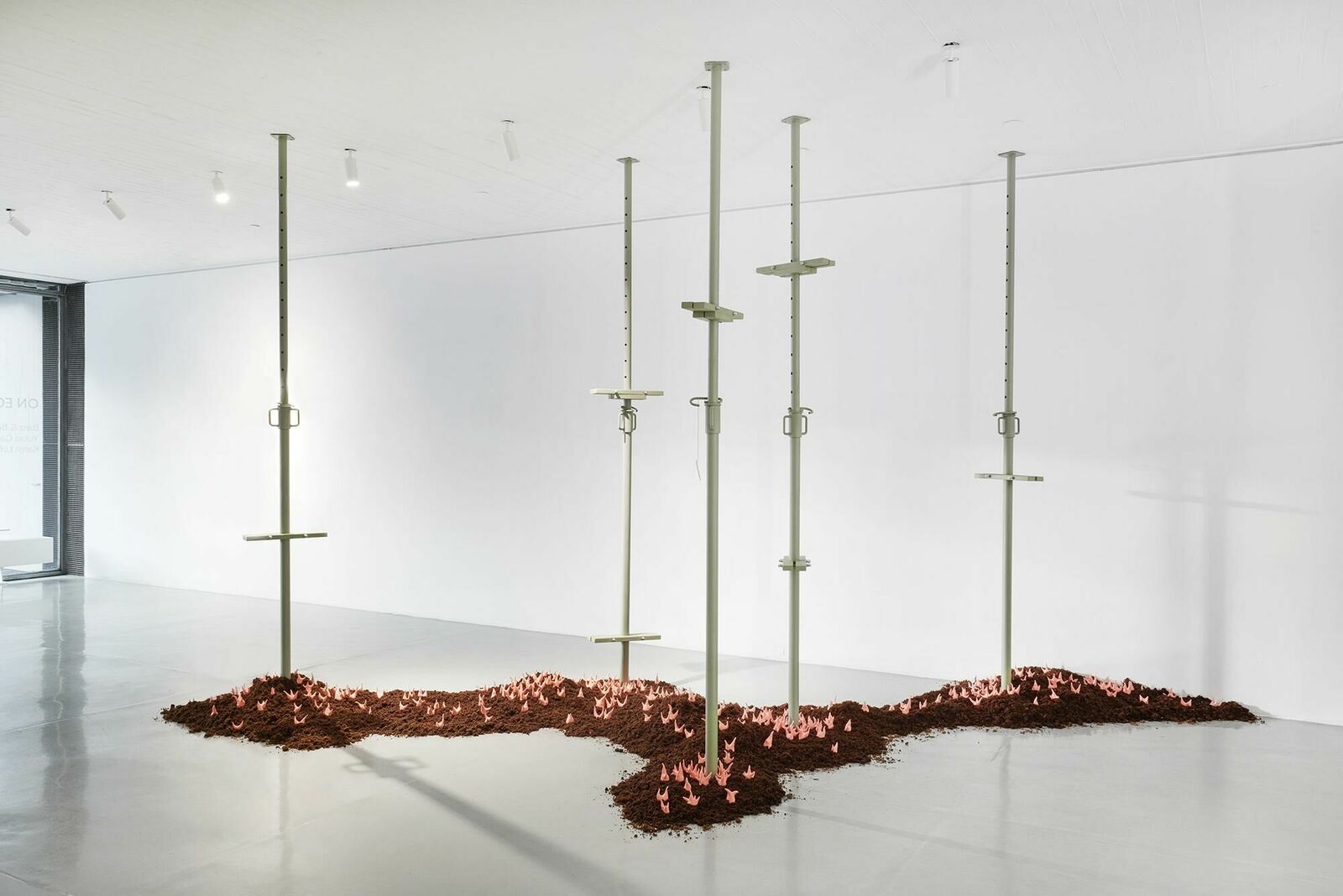 Cover image of the project Walter Palmer Shot A Lion: The Sequel