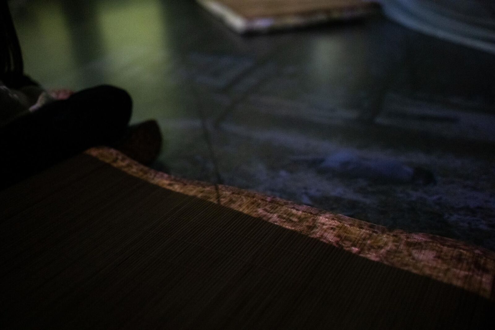 Gallery image of the project Crimson Sap Flowing Through My Veins