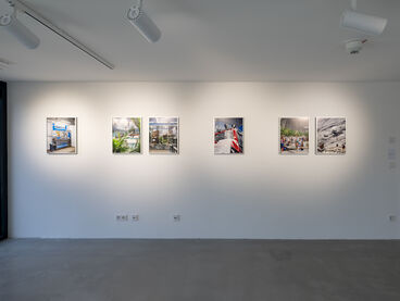 Doris Treitz, Diplom (Heumarkt 14)