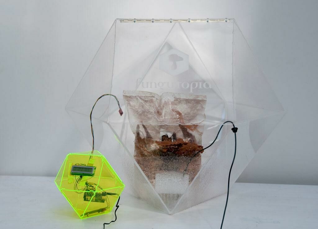 Cover image of the project FUNGUTOPIA