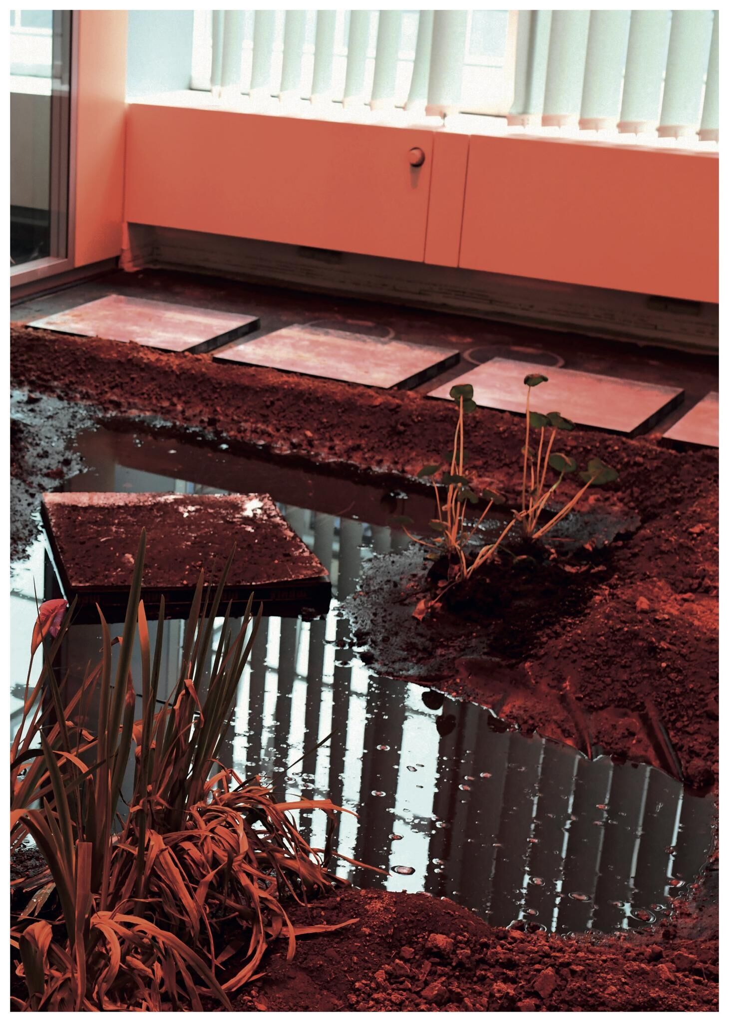 Gallery image of the project FALSE SPRING