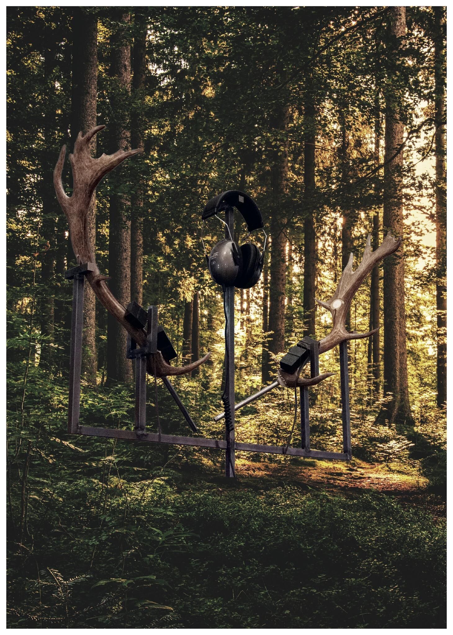 Gallery image of the project FALSE SPRING