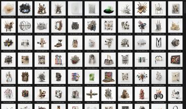 Gallery image of the project The Invisible Warbler