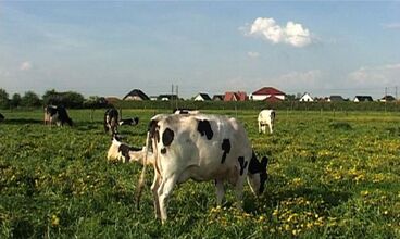 HUKL – Scenes from the Plains of Northern Germany Cover image of the project HUKL – Scenes from the Plains of Northern Germany