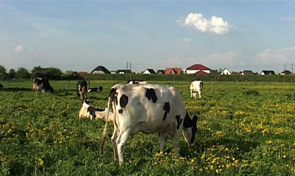 Cover image of the project HUKL – Scenes from the Plains of Northern Germany