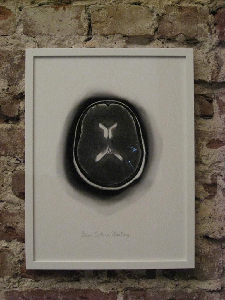 Cover image of the project Brain Captures Phantasy