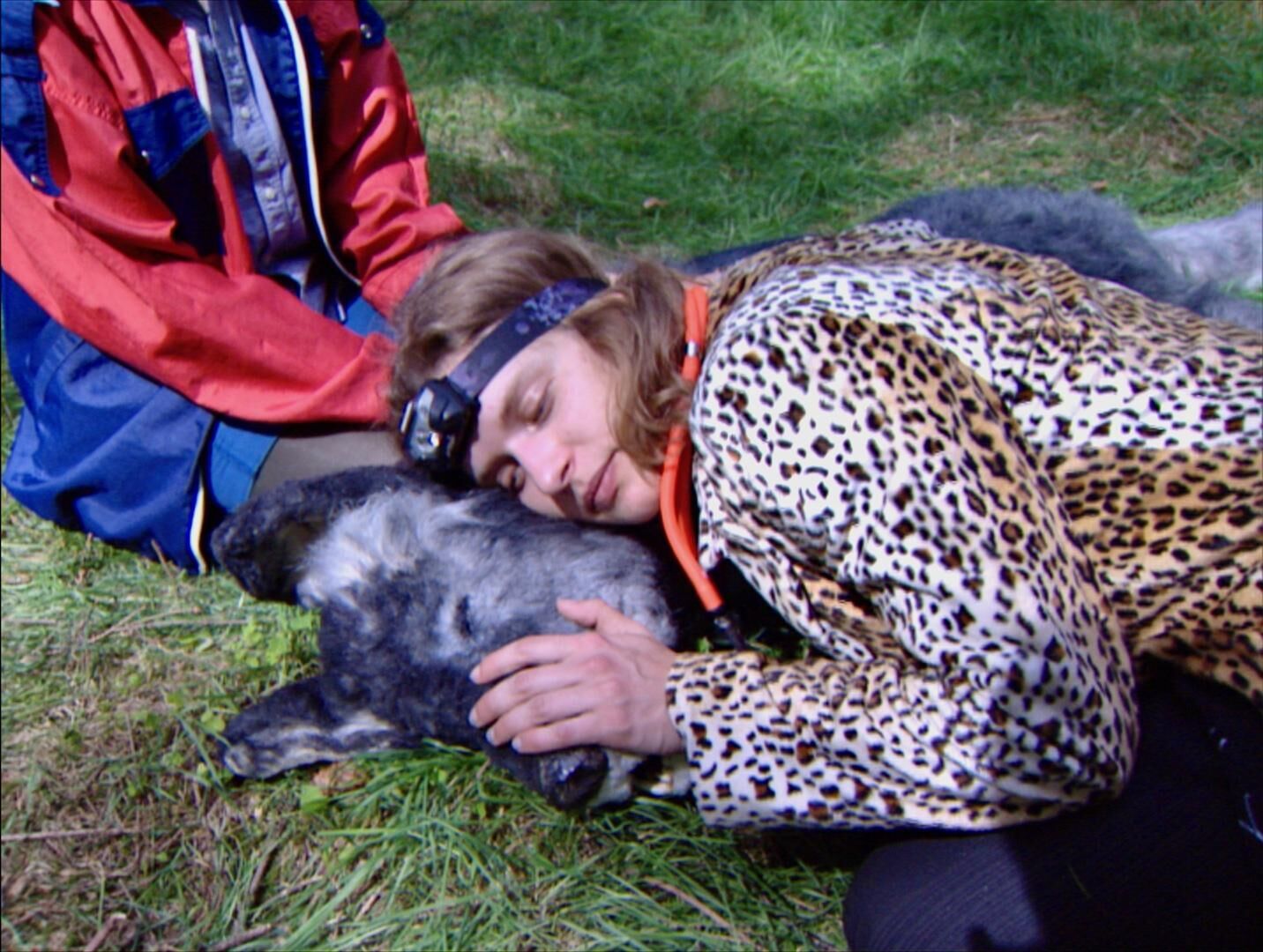 Gallery image of the project Der Wolf