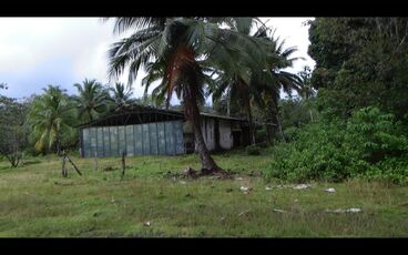 EL SUEÑO Gallery image of the project EL SUEÑO (Director´s Cut)