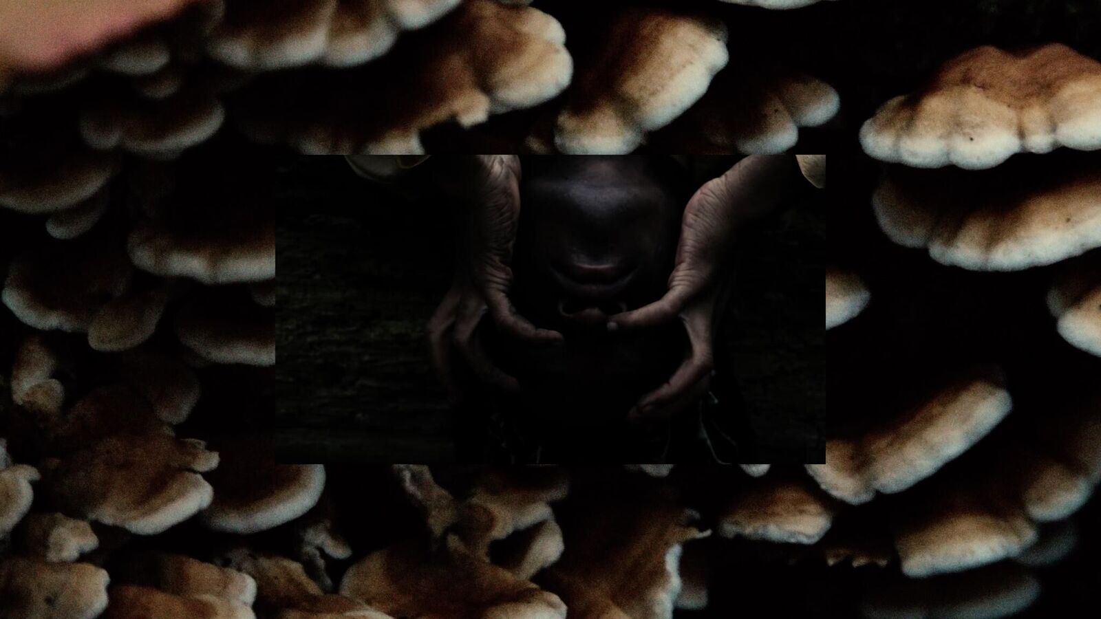 Gallery image of the project To Revere